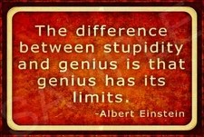 *STUPIDITY HAS NO LIMITS* ALL WEATHER METAL SIGN 8X12 FUNNY BAR OFFICE MAN CAVE