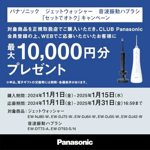 Panasonic Oral Munddusche Jet Wascher Doltz Ultraschall Wasser Kabelloser EW - Bild 2 von 4