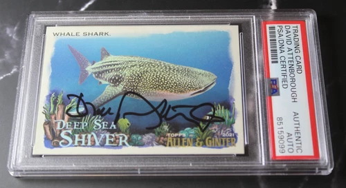 David Attenborough Autographed PSA/DNA Auto 2021 Allen & Ginter Whale Shark Card
