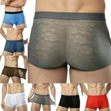 Mens See-through Boxer Shorts Briefs Sheer Mesh Pouch Underwear Panties Trunks