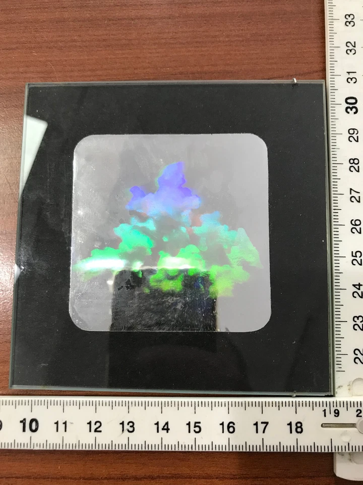 1 Hologramm Bild mit Koralle Meer, Holographie 3D (HX-18) - Bild 2 von 4