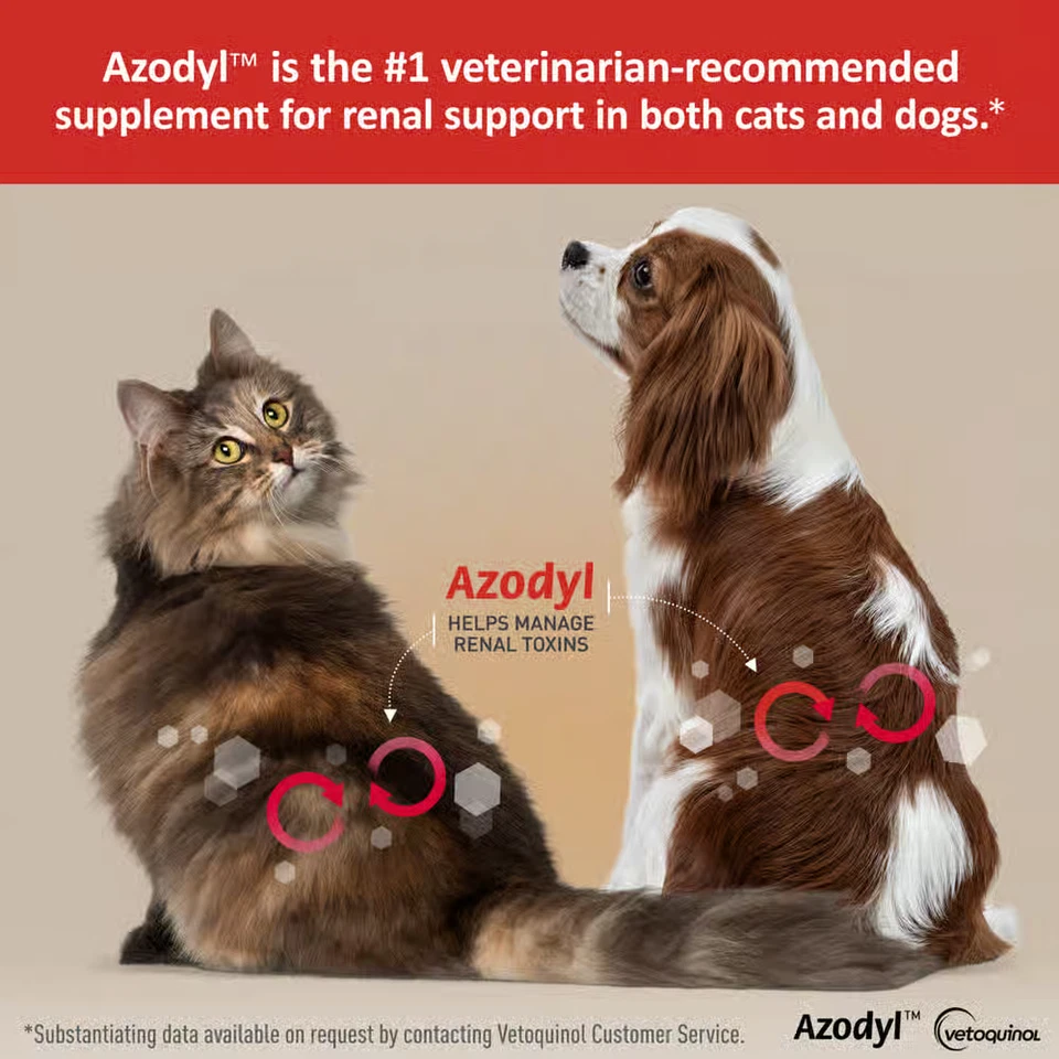 Azodyl Azodyl - Soporte de función renal/renal para perros y gatos, 90ct Foto 2 de 4