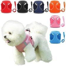 Pet Dog No-pull Harness Set Comfort Safety Vest Harnesses Running Halloween Cat