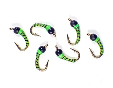Zebra Midge Tungsten Nymphs Caddis Green - Premium Trout Fly Fishing Flies