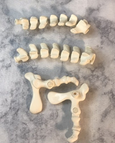 Fisher Price Design A Saur Dinosaur Bones Set 32 Pieces With Case No Instruction - Picture 8 of 14