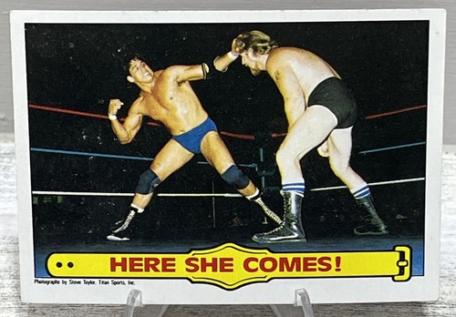 Lot of 5 1985 WWF WWE Sports Cards Junkyard Dog Jimmy Superfly Snuka - Picture 9 of 12