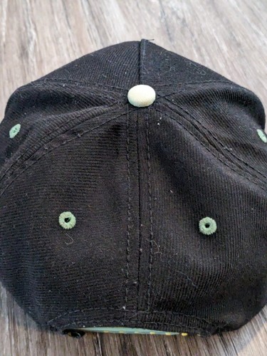 Pokemon Squirtle Snapback Hat Embroidered Baseball Cap Pokemon Tag 2014 - Picture 14 of 24
