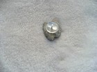 Bild 7 von 8