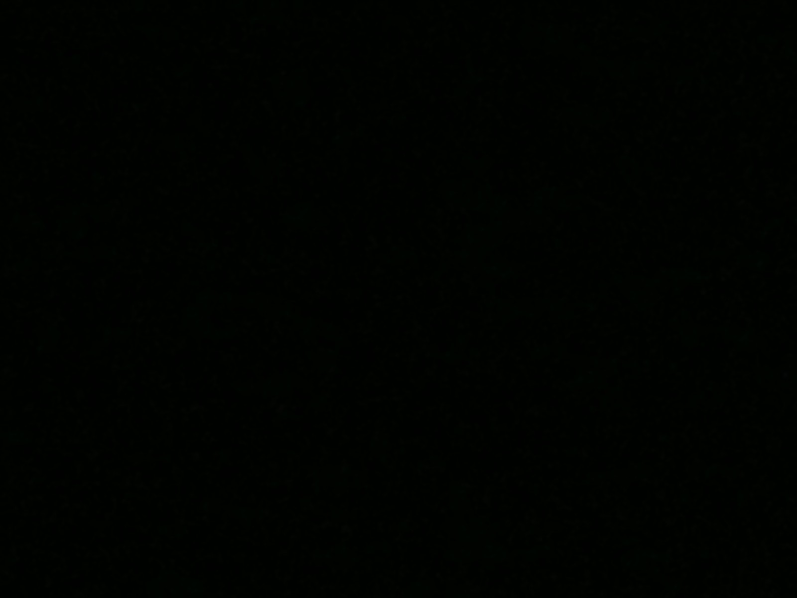 Picture 5 of 5