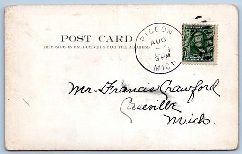 1903 SALUDOS DE PALOMA MICHIGAN BURRO SILLA TOMA UNO SOBRE MÍ POSTAL - Imagen 2 de 2