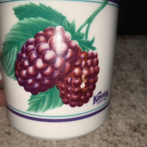 KNOTT'S BERRY FARM TASSE BEERENBECHER VINTAGE WERBUNG - Bild 3 von 5