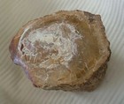 Bild 3 von 7