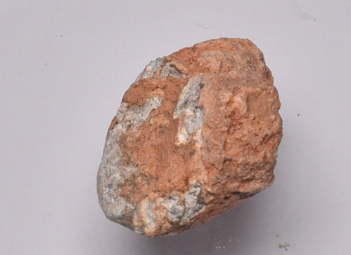 Foto 5 di 5