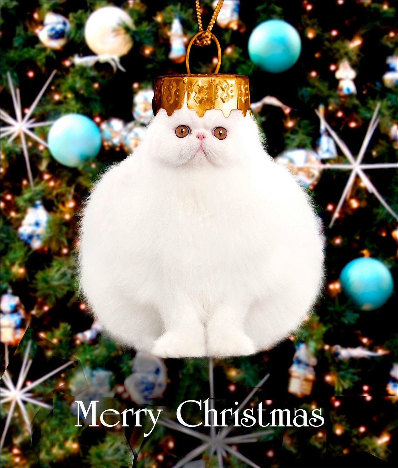 Cat Bauble Funny Cats Glitter Greeting Card Christmas Cards Humorous Greetings