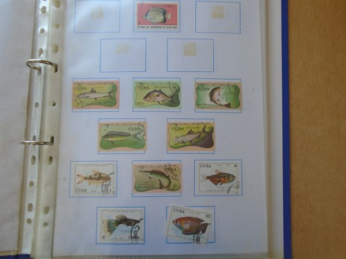 Fish & Sea Life - Como nuevo y usado / Colección CTO en carpeta. Ver fotos abajo. - Imagen 2 de 24