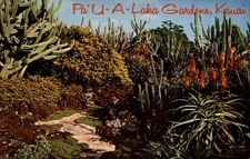 Koloa Kauai Hawaii Moir's Pa'U a Laka Gardens cactus succulent garden postcard