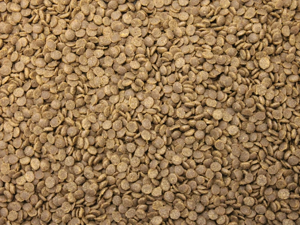 MARKENLOS 100 ml Welsgranulat TOP Qualität Wels Gran Fischfutter Schmerlen Welse