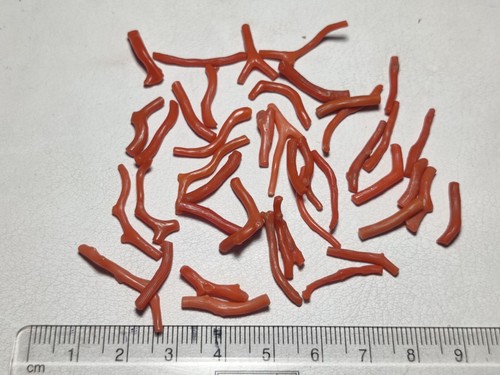Finest Quality Natural Coral Raw Crystals 38.5 Carats Red Color - Picture 2 of 5
