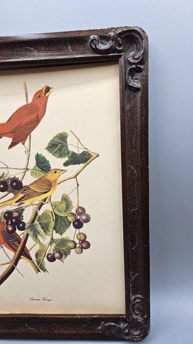 Vintage AUDUBON Summer Tanger Flycatcher Lithograph 1950’s Vtg Wooden Frame - Picture 4 of 6