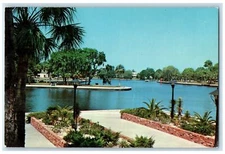 c1950 Tarpon Springs Park Harbor Light Lamp Florida FL Unposted Vintage Postcard