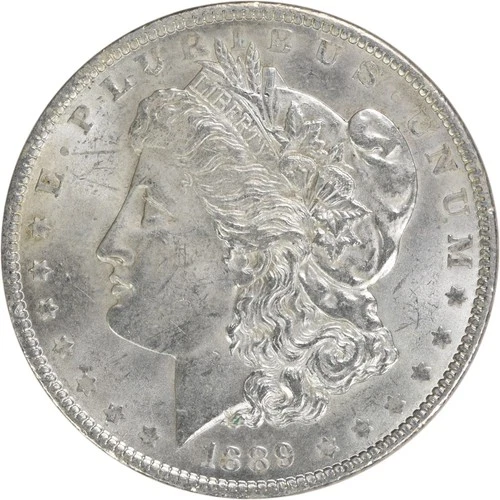 1889 Morgan Silver Dollar BU Uncertified #822