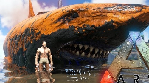 ARK SURVIVAL ASCENDED RESOURCE AND APPRIVOISE BOUTIQUE PC/CROSSPLAY PETITES TRIBUS PVP - Photo 32 sur 60