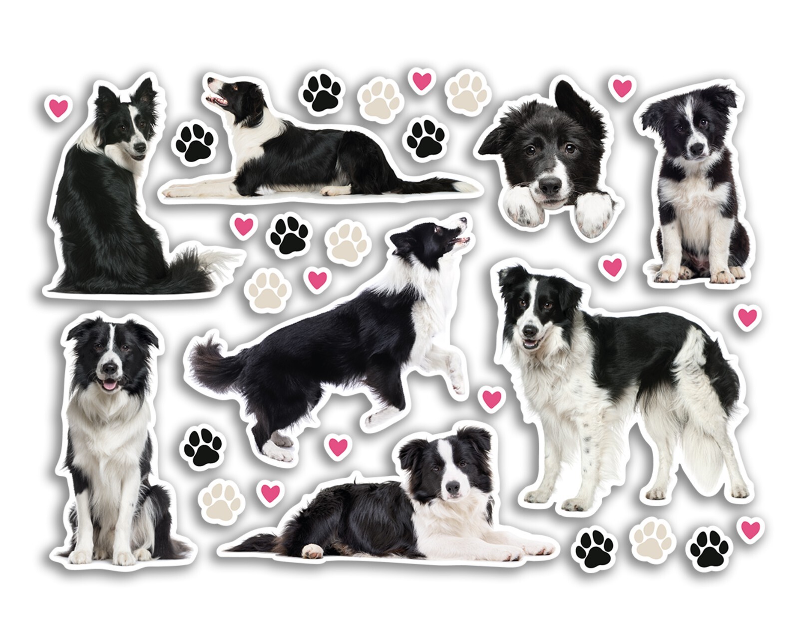 A5 Sticker Sheet Border Terrier Vinyl Stickers - Dogs Pet Puppy Scrapbook #82583 - Image 42