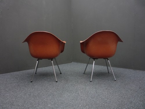 Seltene Fieberglas Dax Chairs von Charles Eames für Herman Miller 60er Design - Picture 5 of 13