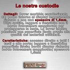 Foto 4 di 13