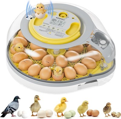 26 Egg Incubator for Hatching Eggs with Smart Voice Guidance, 360° View 