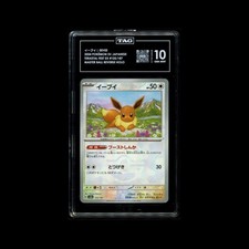 Eevee (Master Ball Pattern) 125/187 Sv8a: Terastal Fest Ex Holo