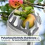 Bild 5 von 7