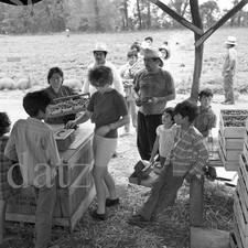 Négatif années 60 - Burnette Farms - Clanton - Comté de Chilton Alabama t472450