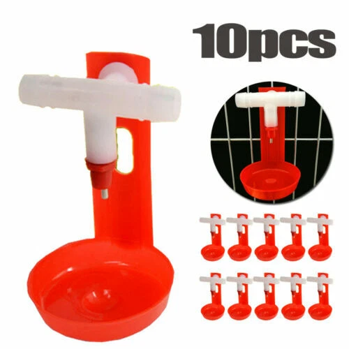 Bedarf für die Geflügeltränken Hähnchen