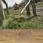 Bild 11 von 12