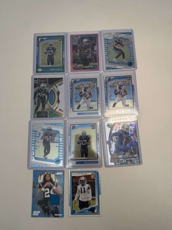 Carolina Panthers Team Lot