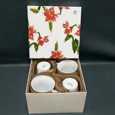 UNUSED In Box Set Of 4 PAULA DEEN Mugs Cups "Amaryllis"