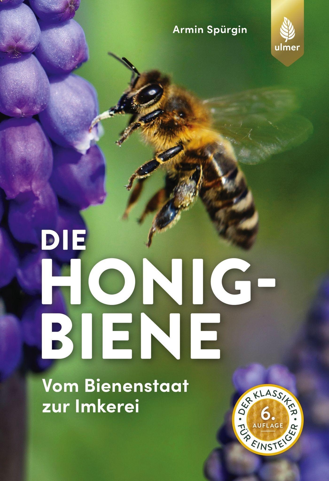 Thumbnail - Die Honigbiene Vom Bienenstaat Zur Imkerei. Der Klassiker Für