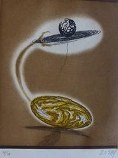 Evrugo EVRU ZUSH Vloplanet HAND SIGNED ETCHING SPANISH ARTIST Surrealism