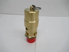Model SW10 , 1" NPT Soft Seat Safety Valve