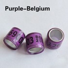 Foto 7 di 18