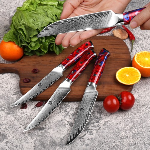 WILDMOK 67 Layers Damascus VG10 Steel 5" Steak Knife Set Full Tang Resin Handle - Picture 8 of 14
