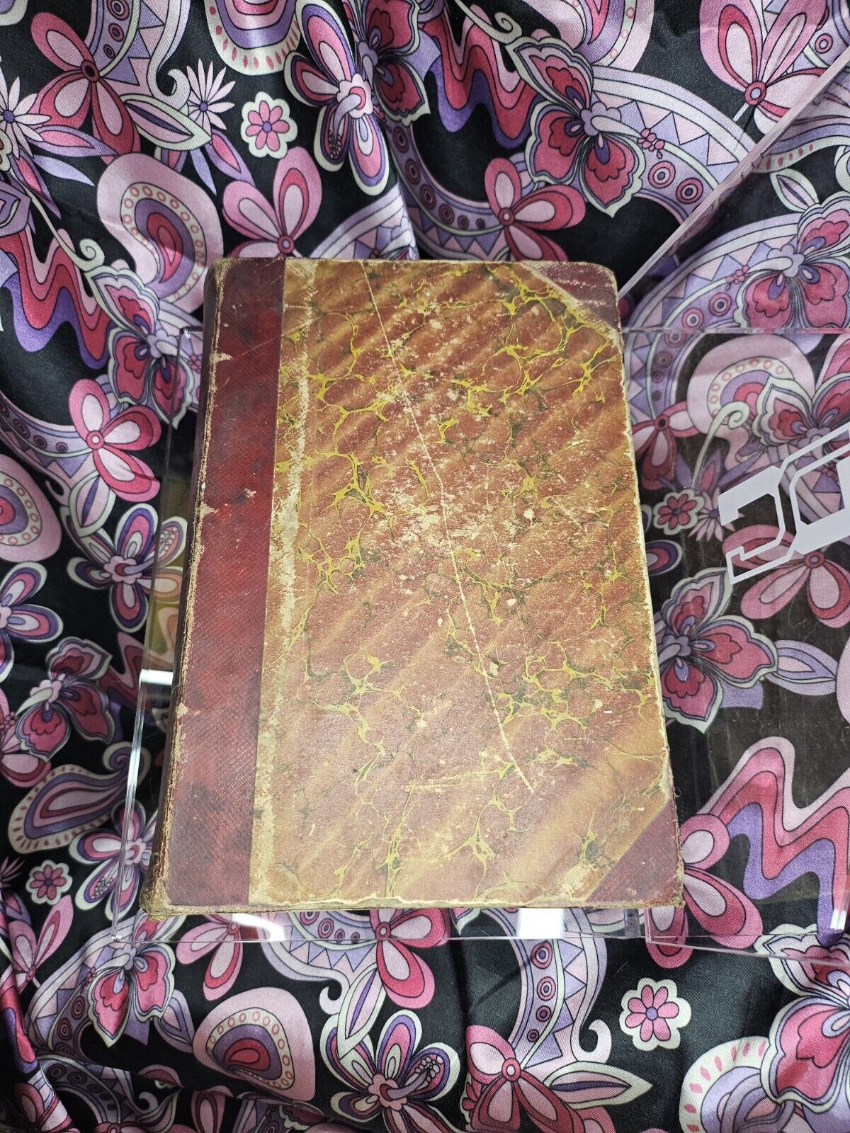 Picture 4 of 23