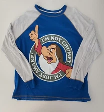 Disney Shirt Mens XL " Not Grumpy Just Awake " Long Sleeve Blue Softball Jersey