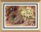 Original c1975 Lithograph William Henry Hunt Nature Print PRIMROSES & BIRD NEST