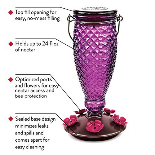 Perky-Pet 9102-1SR Purple Diamond Wein Top Füllung Glas Kolibri Futterhaus mit - Bild 4 von 8