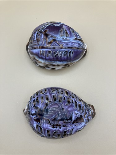 2- Carved Islands Sun on Tiger Cowrie Shell Phillipines 100 Islands Bish, Hawaii