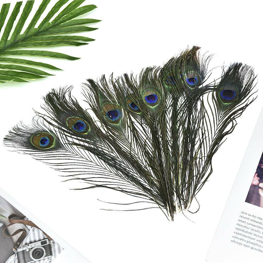 Dengmore Lots 10PCS Natural Real Peacock Tail Eye Feathers DIY  Crafts23-30cm/10-12Inches for Home Decor 