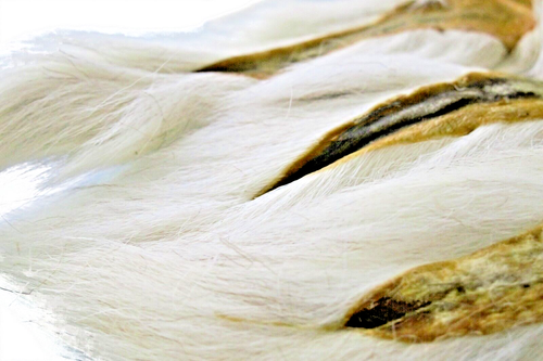 SupplyIt 3 große Nordischer Bucktail naturweiß Fliegenbindematerial Hirschhaar - Bild 1 von 10