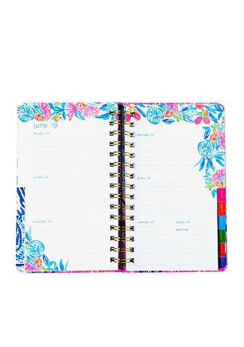 LILLY PULITZER MEDIUM Agenda Weekly Monthly Planner Notebook Diary - Gypset - Picture 3 of 3